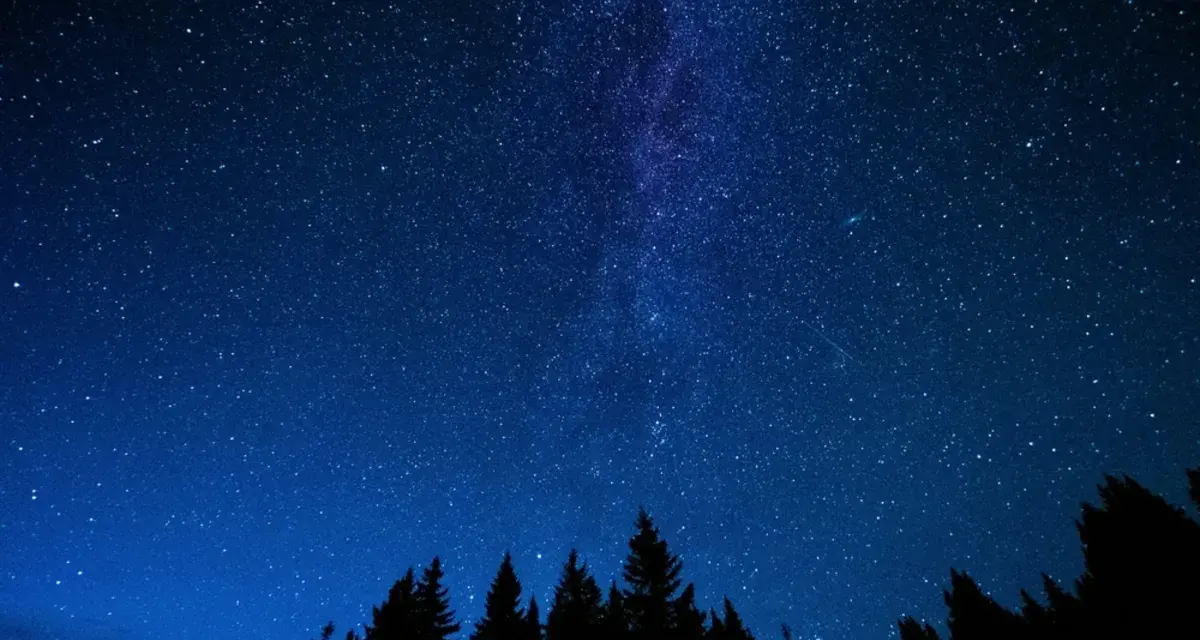 Ein tiefblauer Nachthimmel mit einem faszinierenden **galaxy muster** aus Sternen und der Milchstraße über einer dunklen Silhouette von Bäumen.