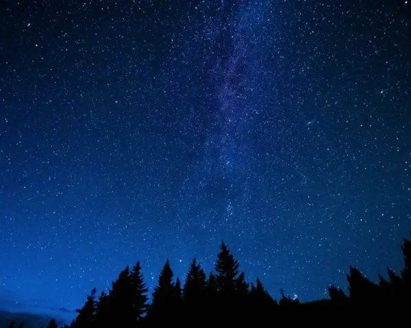 Ein tiefblauer Nachthimmel mit einem faszinierenden **galaxy muster** aus Sternen und der Milchstraße über einer dunklen Silhouette von Bäumen.