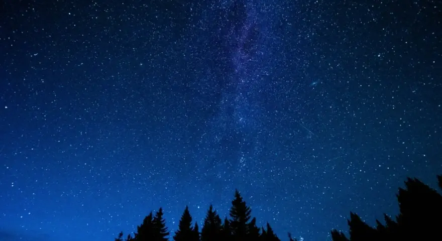 Ein tiefblauer Nachthimmel mit einem faszinierenden **galaxy muster** aus Sternen und der Milchstraße über einer dunklen Silhouette von Bäumen.