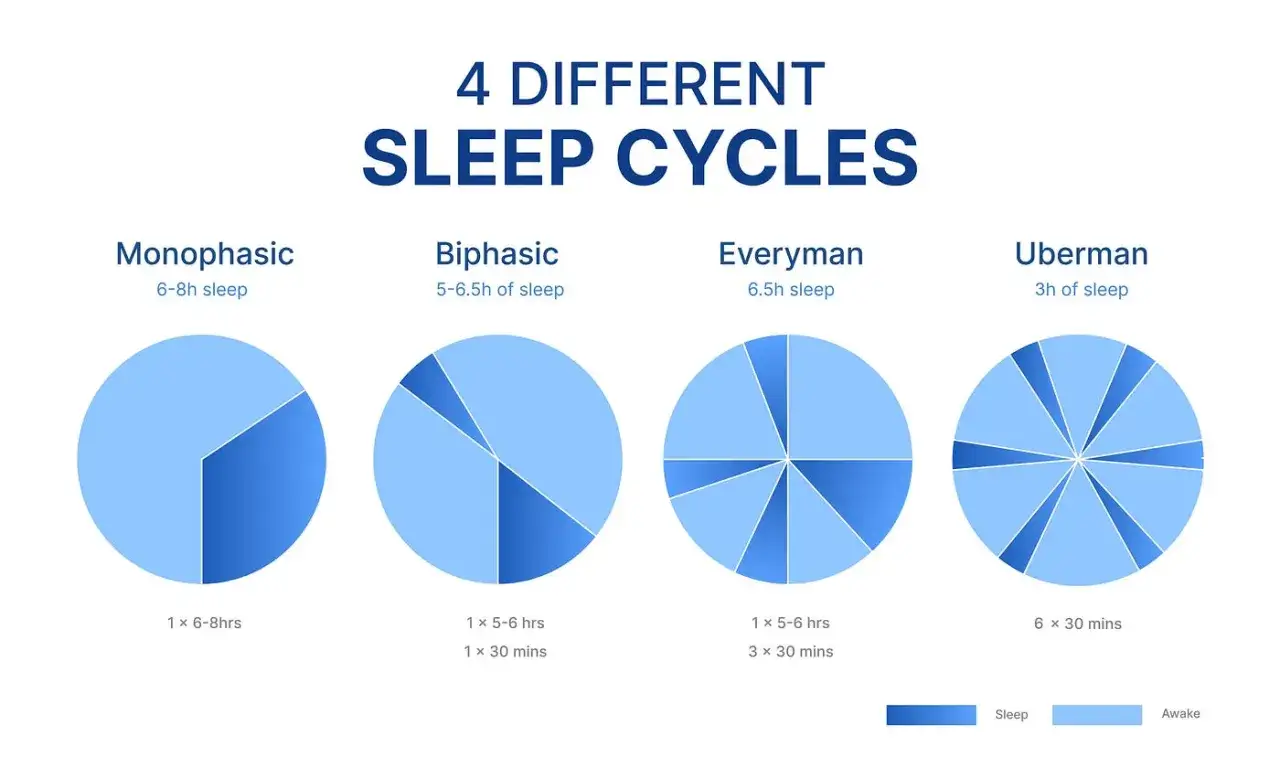 Diagramme zeigen, wie man den Schlaf aufteilen kann: Monophasisch, Biphasisch, Everyman und Uberman.