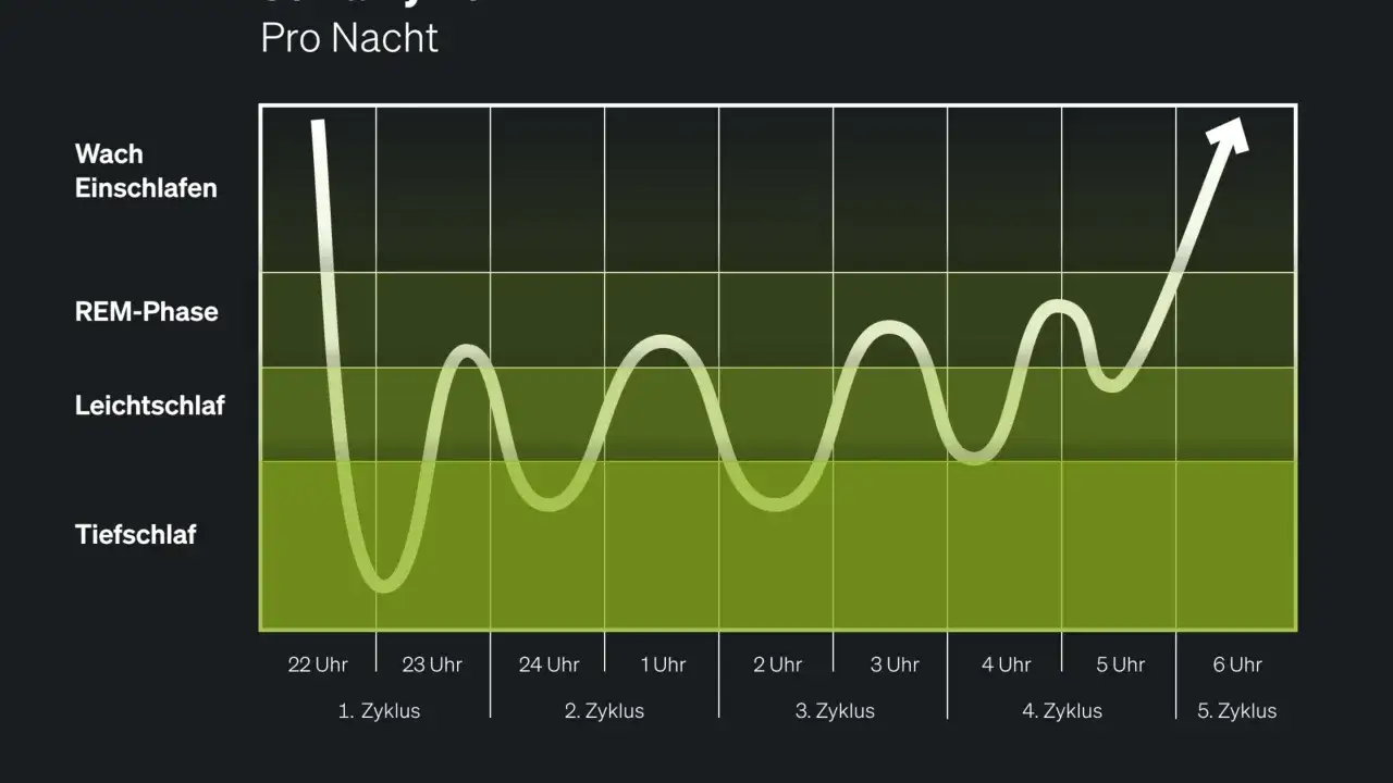 Schlafphasen-Diagramm zeigt, was ist die Wolfsstunde: Tiefschlafphasen wechseln mit Leichtschlaf und REM-Schlaf.